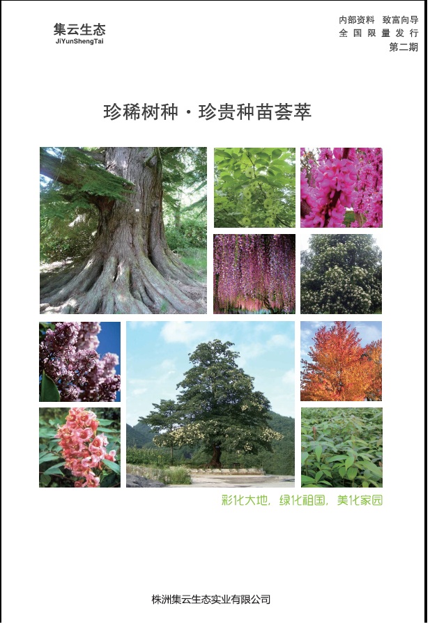 ���޼������B(t��i)��(sh��)�I(y��)��Әӱ�����(c��)