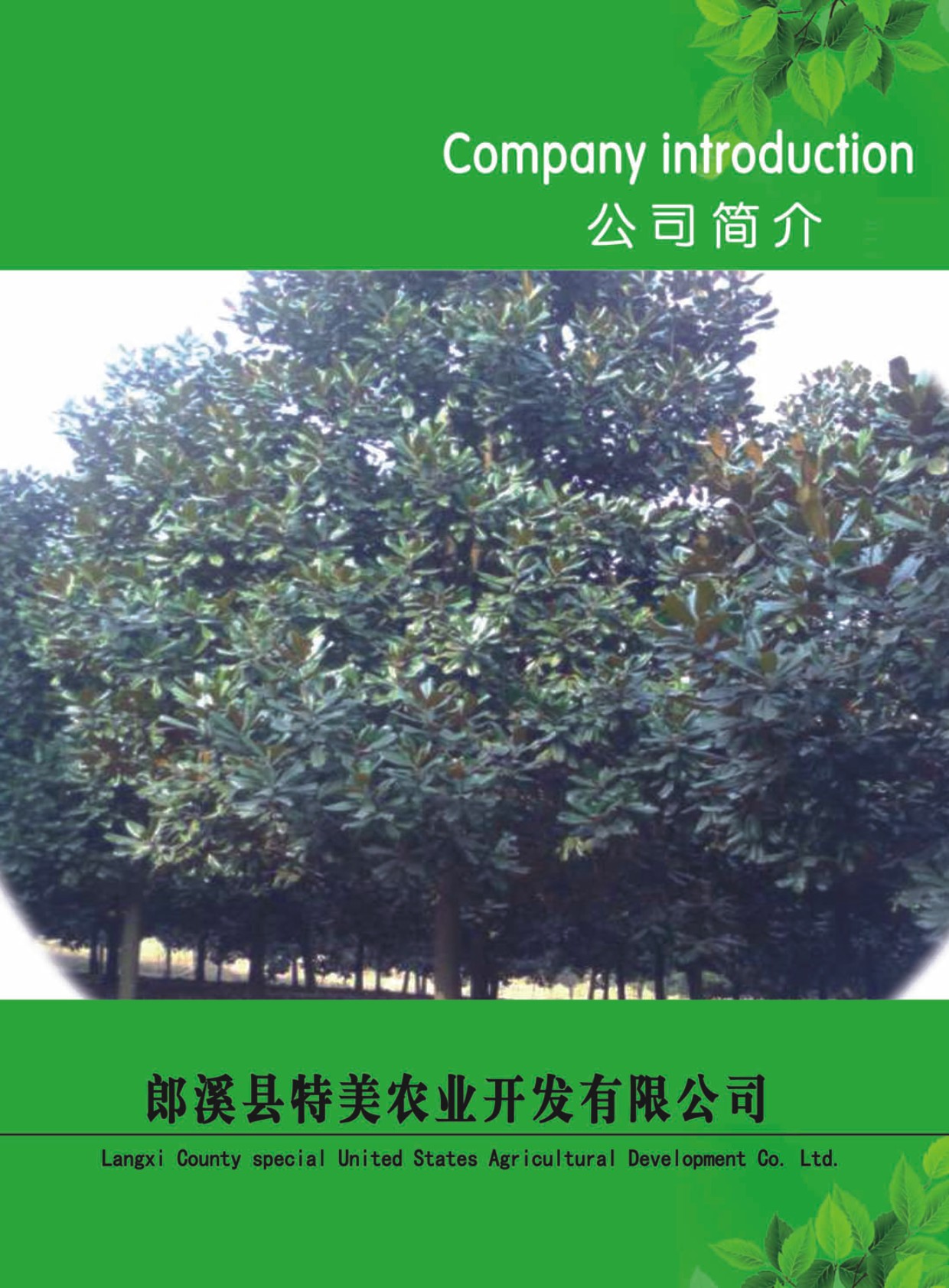 ��Ϫ�h�����r�I(y��)�_�l(f��)��Әӱ�����